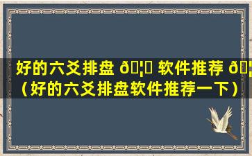 好的六爻排盘 🦟 软件推荐 🦟 （好的六爻排盘软件推荐一下）